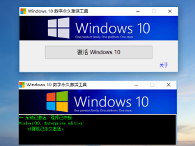 W10 Digital Activation Windows系统永久激活工具汉化版 v1.4.6