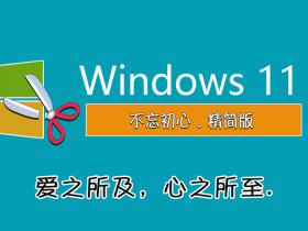 不忘初心 Windows11 22H2 X64 无更新[深度精简版][1.26G]（22621.741）